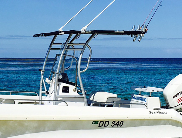 Promocja! Dolphin Pro2 z konso – Fishing Rod Holder recenzja i cena